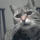 Business 1 image 1ST SELF ACCESS STORAGE LTD Storage in Birmingham We