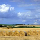 Business 2 image 24-7 FISHING LTD Fishing Tackle in Coventry We