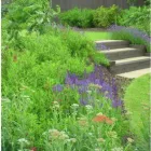 Business 1 image 4D GARDEN DESIGN & CONSTRUCTION Landscapers in Bolton La