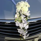 Business 9 image 5 STAR CHAUFFEUR CARS Wedding Transport in Warrington Ch