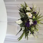 Business 1 image 51N SOLUTIONS LTD Internet Web Design & Development in Northampton No