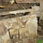 Business 8 image A B S PRESERVATION UK LTD Woodworm & Dry Rot Control in London Gr