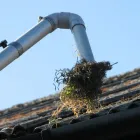 Business 4 image A+ CLEANING SERVICES Window Cleaners in Southampton Ha