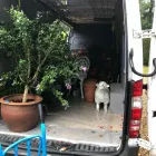 Business 5 image A MAN WITH A VAN WHO CAN Van Hire in High Wycombe Bu