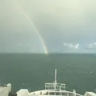 Business 31 image A MAN WITH A VAN WHO CAN Van Hire in High Wycombe Bu