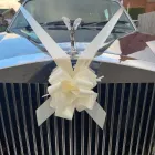 Business 18 image A1LESTREE TRAVEL LTD Transportation Services in Derby De