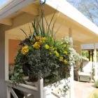 Business 2 image ABBEYFIELD HOUSE Social Services in Reading Be