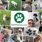Business 3 image ABLE PET CARE Pets & Animals in Barry So