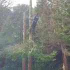 Business 1 image ABLE TREE EXPERTS Tree Services in High Wycombe Bu
