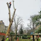 Business 2 image ABLE TREE EXPERTS Tree Services in High Wycombe Bu