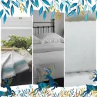 Business 18 image AC ELITE CLEANERS LTD Upholstery Cleaners in Reading Be