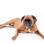 Business 6 image AFFIRM COUNSELLING SERVICES Counselling & Advice in Glasgow La