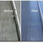 Business 1 image AILIA DAVID & COMPANY Solicitors in Ilford Es