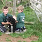 Business 7 image ALBANY VETERINARY SURGERY Vets in Liverpool Me