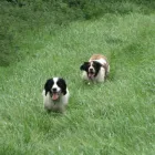 Business 8 image ALBANY VETERINARY SURGERY Vets in Liverpool Me