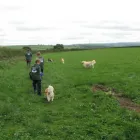 Business 10 image ALBANY VETERINARY SURGERY Vets in Liverpool Me