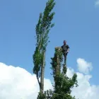 Business 1 image ALCHEMY STEEL SERVICES LTD Steel Fabrications in Nottingham No