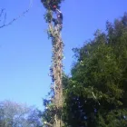 Business 3 image ALCHEMY STEEL SERVICES LTD Steel Fabrications in Nottingham No