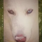 Business 1 image ALDRICH ART LTD Writing & Publishing in Hinckley Le