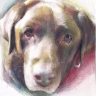 Business 7 image ALDRICH ART LTD Writing & Publishing in Hinckley Le