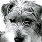 Business 15 image ALDRICH ART LTD Writing & Publishing in Hinckley Le