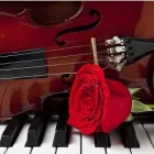 Business 1 image ALLEGRI MUSIC SCHOOL Wedding Entertainment in Mansfield No