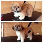 Business 3 image ALREWAS POST OFFICE Post Offices in Burton-On-Trent St