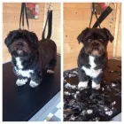 Business 4 image ALREWAS POST OFFICE Post Offices in Burton-On-Trent St