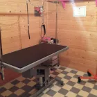 Business 6 image ALREWAS POST OFFICE Post Offices in Burton-On-Trent St