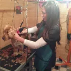 Business 2 image ALREWAS POST OFFICE Post Offices in Burton-On-Trent St