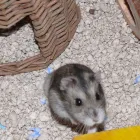 Business 3 image AMADEUS DESIGN & BUILDING LTD Structural Engineers in Guildford Su