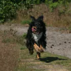 Business 4 image AMADEUS DESIGN & BUILDING LTD Structural Engineers in Guildford Su