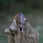 Business 6 image AMADEUS DESIGN & BUILDING LTD Structural Engineers in Guildford Su