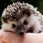 Business 2 image AMADEUS DESIGN & BUILDING LTD Structural Engineers in Guildford Su