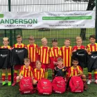 Business 2 image ANDERSON LANDSCAPING Paving & Driveway Contractors in Glasgow La