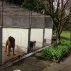 Business 1 image ANDREWS FINANCIAL SERVICES LTD Mortgages in Hastings Ea