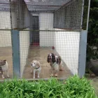 Business 2 image ANDREWS FINANCIAL SERVICES LTD Mortgages in Hastings Ea