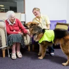 Business 2 image ARCHWAY VETERINARY SURGERY Veterinary Services in Swindon Wi