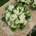 Business 13 image AROMA HEALTH & BEAUTY CLINIC Complementary Therapies in Cardiff So