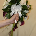 Business 16 image AROMA HEALTH & BEAUTY CLINIC Complementary Therapies in Cardiff So