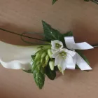 Business 22 image AROMA HEALTH & BEAUTY CLINIC Complementary Therapies in Cardiff So