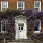 Business 2 image AROMATICA DREAMS Complementary Therapies in Dudley We