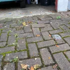 Business 20 image ASAP CLEANING CO.LTD Construction & Contractors in London Gr