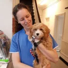 Business 1 image ASHFIELD HOUSE VETERINARY HOSPITAL, LONG EATON Veterinary Services in Nottingham De