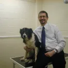 Business 3 image AVALON VETERINARY CLINIC Vets in Glasgow La