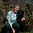 Business 5 image AVALON VETERINARY CLINIC Vets in Glasgow La