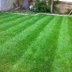 Business 6 image AYEGARDENING Landscapers in Dorking Su