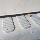 Business 5 image B H SERVICES PEST CONTROL Pest & Animal Control in Milton Keynes Bu