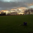 Business 9 image B H SERVICES PEST CONTROL Pest & Animal Control in Milton Keynes Bu