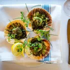 Business 7 image BALTHAZAR Restaurants in London Gr